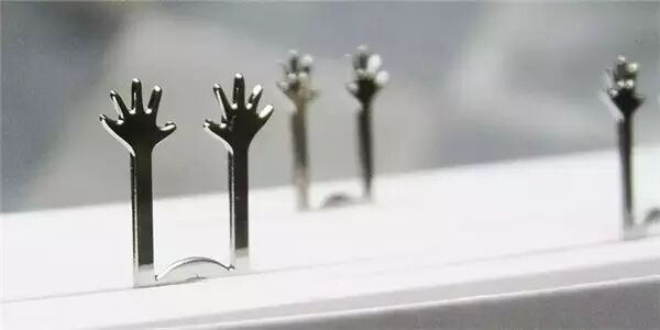 我的书里,每天盛开一朵花744 / 作者:碧澄匀 / 帖子ID:112806 我的书里,每天盛开一朵花744 / 作者:碧澄匀 / 帖子ID:112806