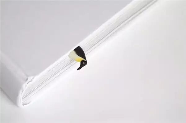 我的书里,每天盛开一朵花949 / 作者:碧澄匀 / 帖子ID:112806 我的书里,每天盛开一朵花949 / 作者:碧澄匀 / 帖子ID:112806