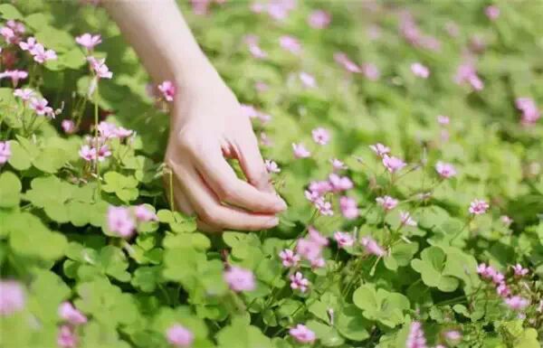 有美一人，宛若清扬94 / 作者:碧澄匀 / 帖子ID:115396