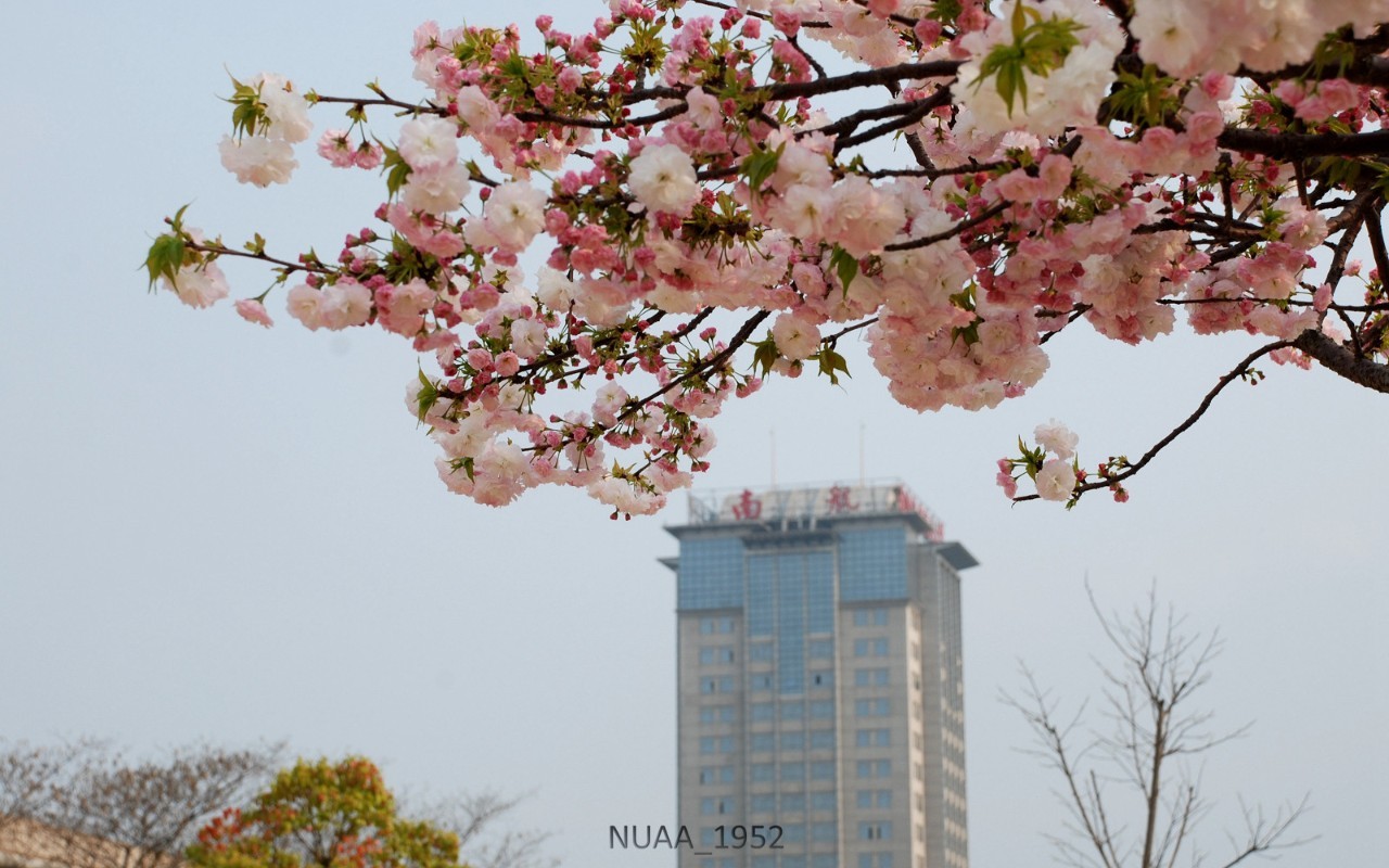 南京大学航空航天_南京航天大学招飞网_南京航空航天大学招生网