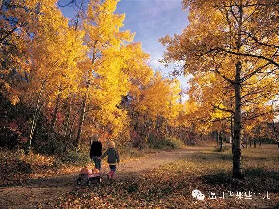 投资移民亲身感受：移民加拿大后的利与弊