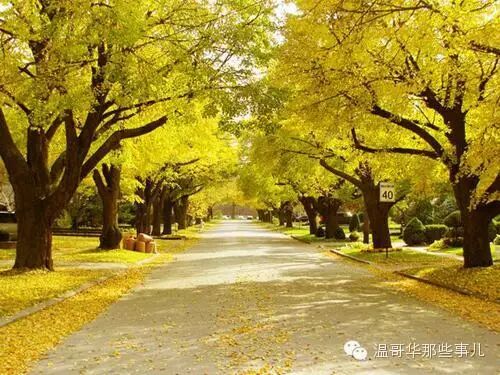 投资移民亲身感受：移民加拿大后的利与弊