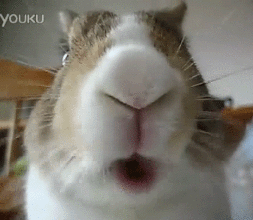 253_220gif 动态图 动图