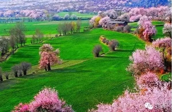 【喜聚汇PTV】♫李健——最美的春天