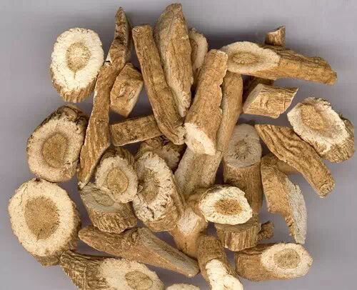 静海农民种板蓝根被误以为是油菜花引疯狂自拍