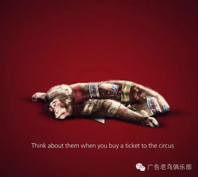 保护动物宣传公益海报创意设计欣赏