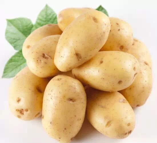 打包剩饭剩菜的技巧
