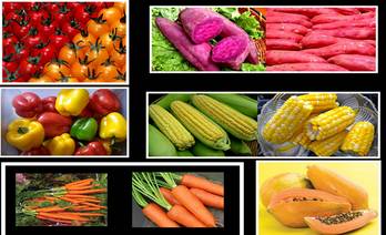 美国正式宣布转基因有毒