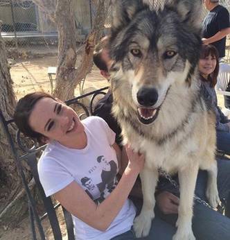 当蟒蛇爱上生日帽 盘点凶猛动物的可爱一面