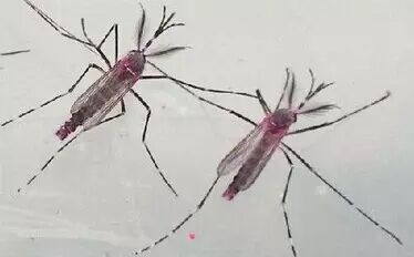 一周医药新闻回顾：六成医生不满收入