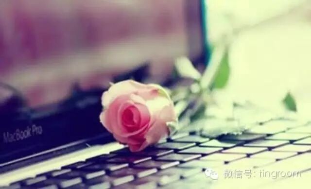 每日一歌:1234  -Feist