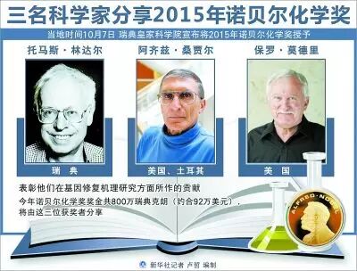 肽——修复DNA的专用工具