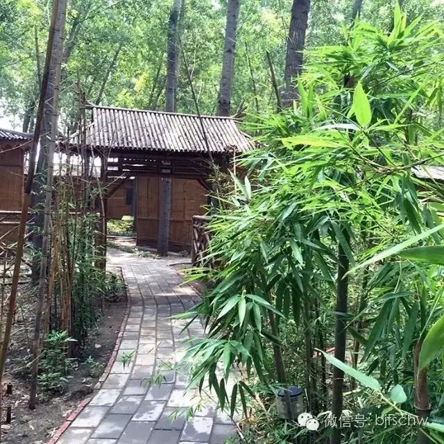 穿过一条幽静的竹林小径,就是住宿区.一栋栋竹屋矗立其中.