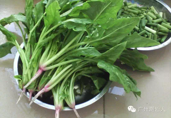 潮汕蔬菜那些有趣名字的来历!飞龙、力苏、干筒…