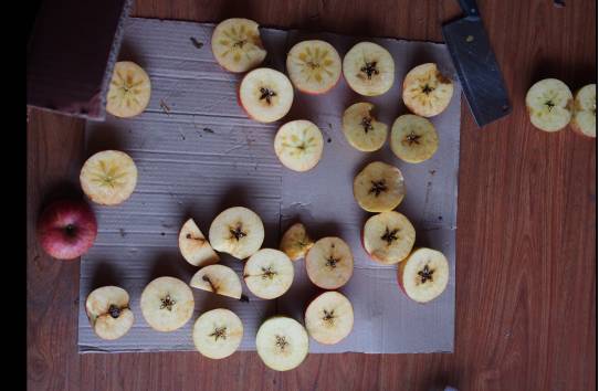 创业项目合伙_大学生创业项目合伙人介绍_大学生学校创业好项目