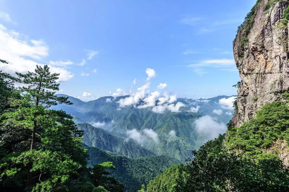 省龙泉市凤阳山·百山祖国家级自然保护区内,其主峰黄茅尖海拔1929米