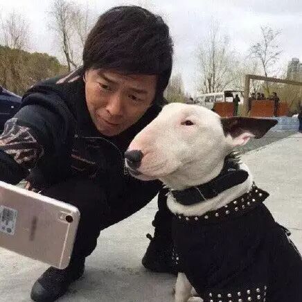 孙红雷*黄渤  万万没想到栽到了一条狗手里