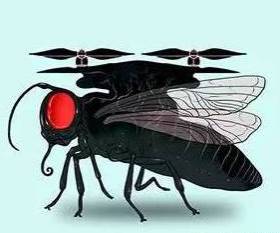 微型無(wú)人機(jī)用昆蟲(chóng)復(fù)眼原理導(dǎo)航