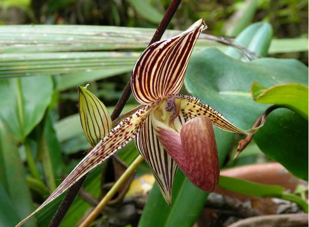 停经、晨吐神马的都被影视剧用滥了,还有哪些信号暗示着你可能已经怀孕?-怀孕期