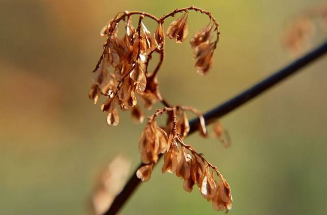 停经、晨吐神马的都被影视剧用滥了,还有哪些信号暗示着你可能已经怀孕?-怀孕期