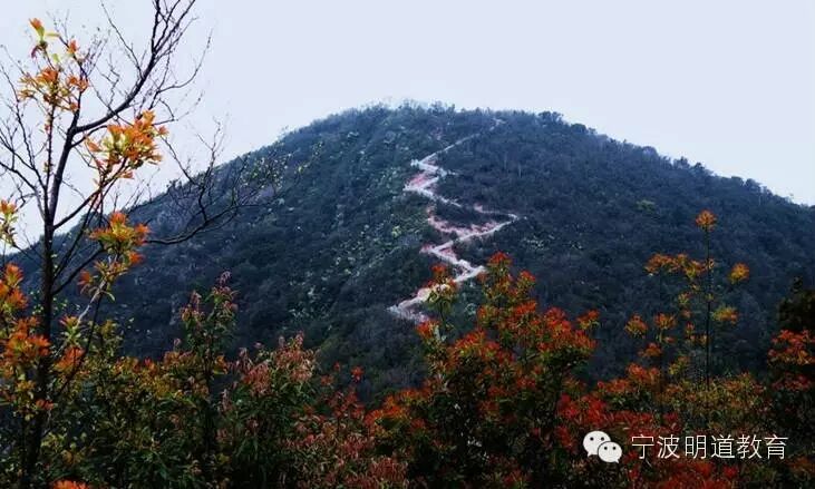 宁波明道教育3月亲子活动——徒步保国寺北山游步道