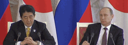 最近一组图动图更是让普京在国内火了一把