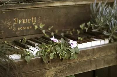 �й�����Ů��Ա_�й�������ټ�_���ٿ���Ҿ��м�ȩ��