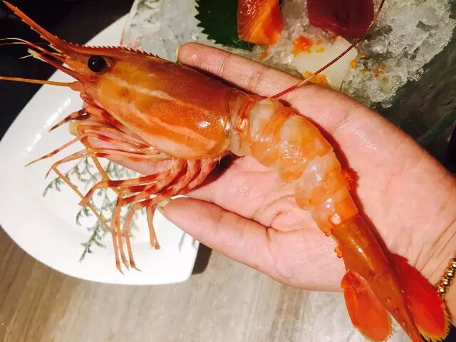 荤腥指什么_荤腥_荤腥是指哪些食物