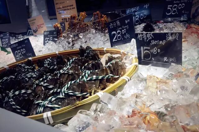 荤腥_荤腥是指哪些食物_荤腥指什么