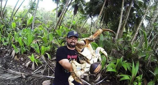 荤腥_荤腥指什么_荤腥是指哪些食物