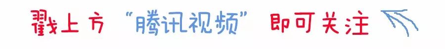 这5个女人凭啥就是综艺节目的香饽饽？