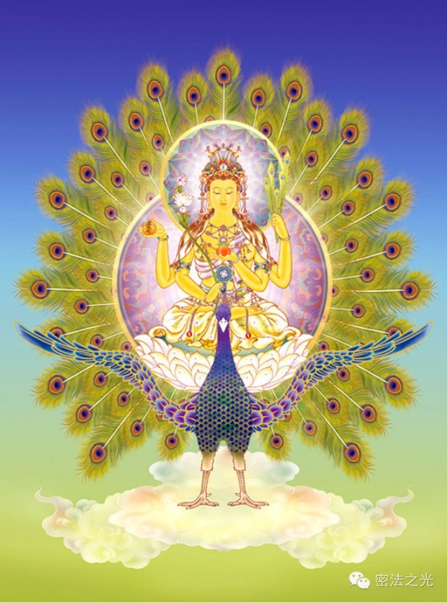 臂钏 孔雀明王的来历