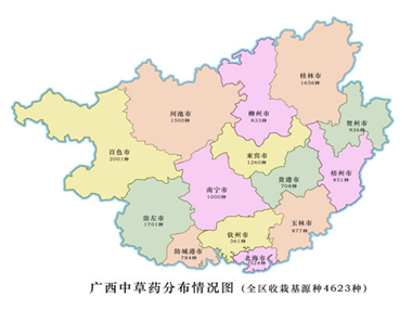 和丰富的中草药资源,使广西汇聚了六大长寿之乡——巴马,凤山,东兰,大