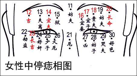 女人面部痣相图解(详细)