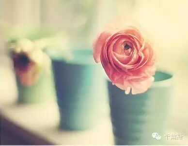 无痛引产十大注意事项