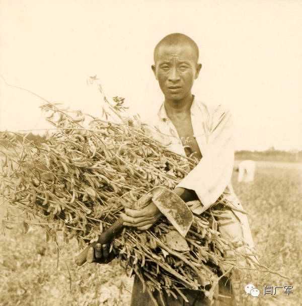 60年前老鹿邑的照片 60年前老鹿邑的照片