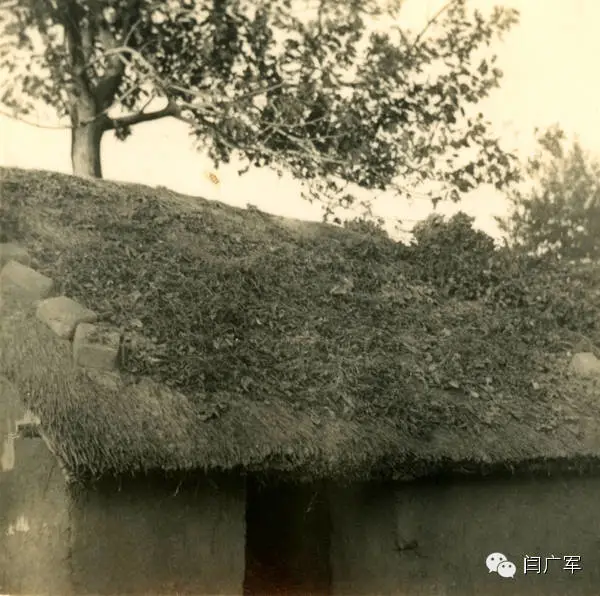 60年前老鹿邑的照片 60年前老鹿邑的照片
