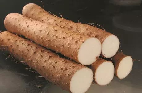 转载:冬天吃什么可提高免疫力,太难得了! - 秋博子奥 - 秋博子奥的博客 转载:冬天吃什么可提高免疫力,太难得了! - 秋博子奥 - 秋博子奥的博客