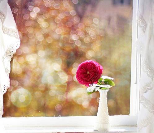 趣味段子:等我有钱了一定要买下古天乐,让他天天给我讲...