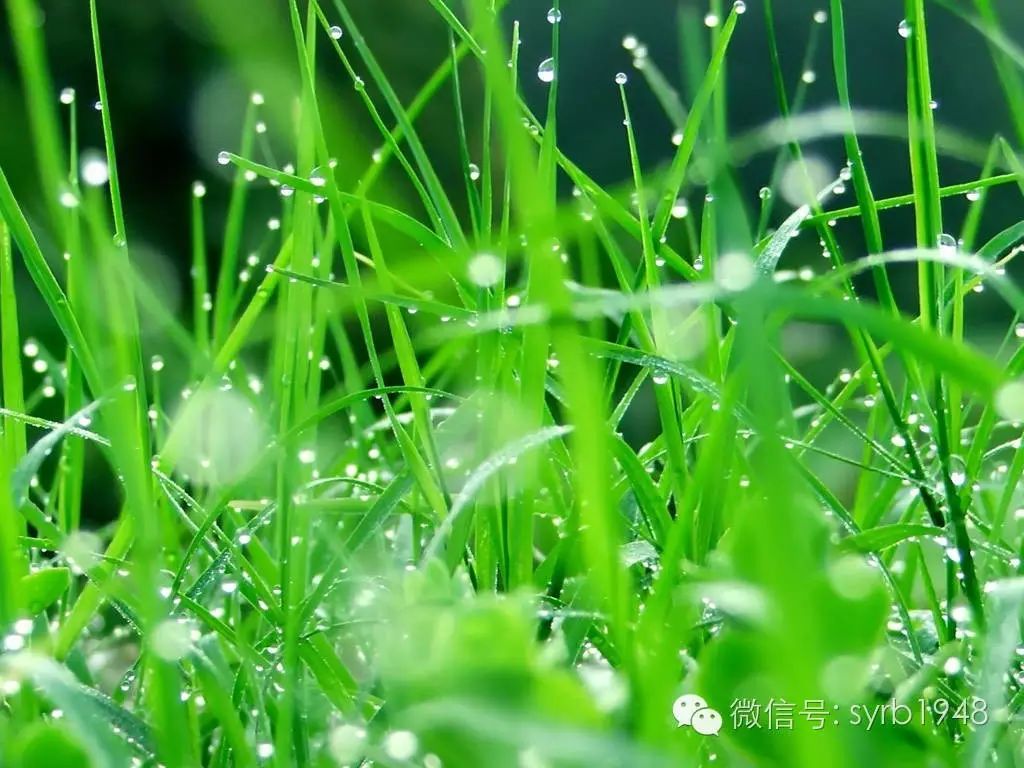 出门呼吸一下雨后的清新空气吧