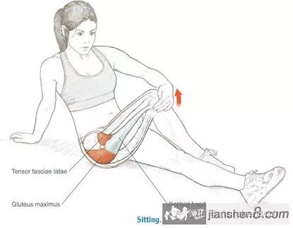 2.闭孔内肌obturator internus   3.