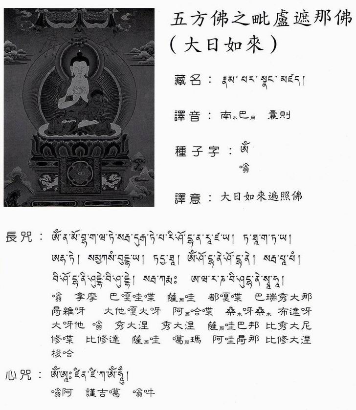 毗卢遮那佛