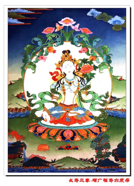 ����ͼ�ģ���������