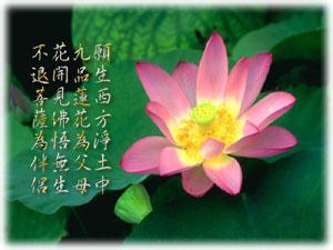 【转载】六个字,让你终生不发火!!! - 华胜 - 我的博客 六个字,让你终生不发火!!! - 阿弥陀佛 - 南无阿弥佗佛