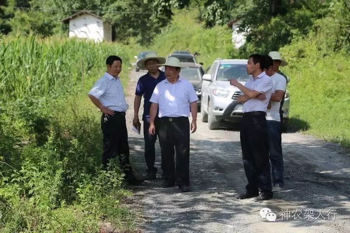 易寿生组长同神农架林区党委书记周森锋,副区长沈绍平举行会谈