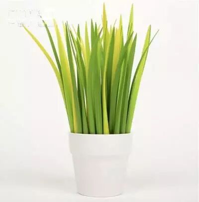 让人尖叫的产品设计！