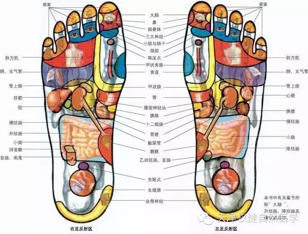 【健康秘笈】央视:鞋底磨损太厉害?是病得治!全世界最小、最方便、最实用有效的骨骼矫正器—骨正基