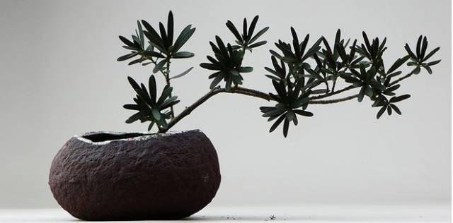 陨石属于全球最顶极收藏（浅谈全球收藏品分析）&nbsp;<wbr>转载自微信陨魔