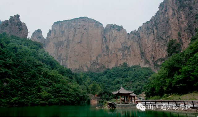 四月迎春花开“千人畅游山西通天峡”