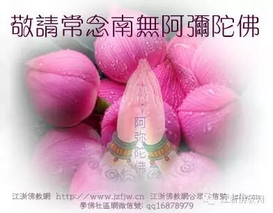 ��һ�䡰�ϟo�����ӷ𡱵�ʮ�󸣈�